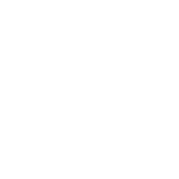 Revenue Forecasting